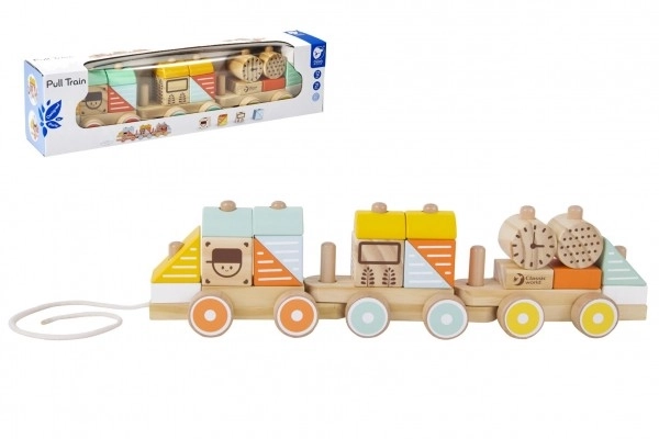 Train en bois à tirer avec 21 pièces