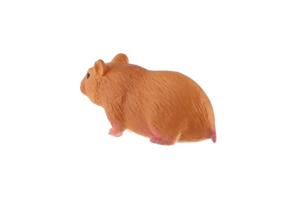 Cobaye domestique zooted 6cm en sac