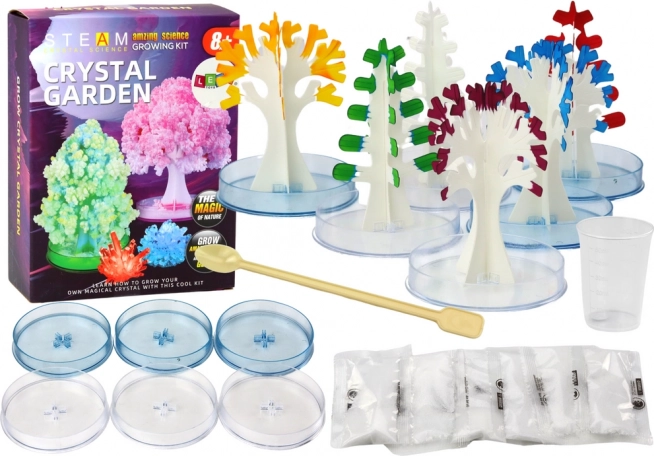 Kit éducatif pour faire pousser des arbres cristallins