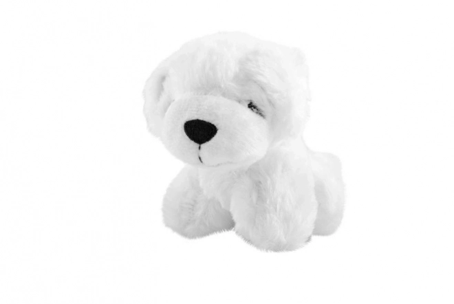 Kit de bain pour chien