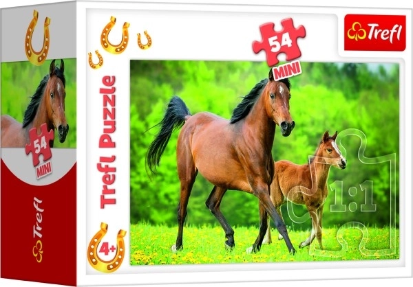 Minipuzzle 54 pièces Chevaux 4 types dans une boîte 9x6,5x4cm