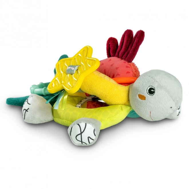 Tortue d'activité, DoBabyDoo