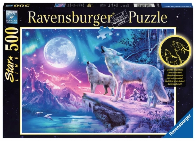 Puzzle Ravensburger lumière polaire 1000 pièces