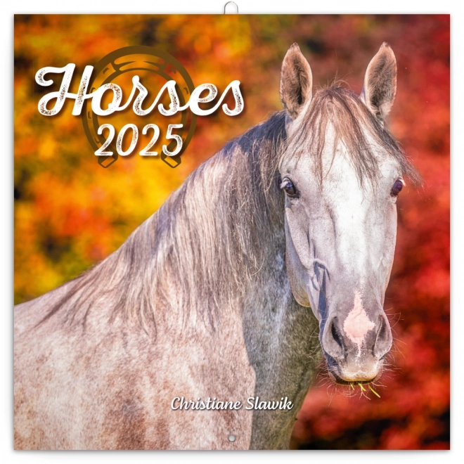 NOTIQUE Calendrier de notes Chevaux – Christiane Slawik 2025, 30 x 30 cm