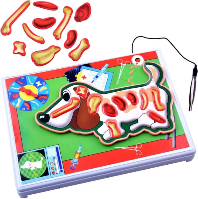 Jeu électronique Jeune vétérinaire – petit chien