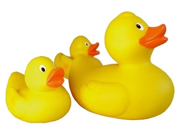 Famille de canards Lena