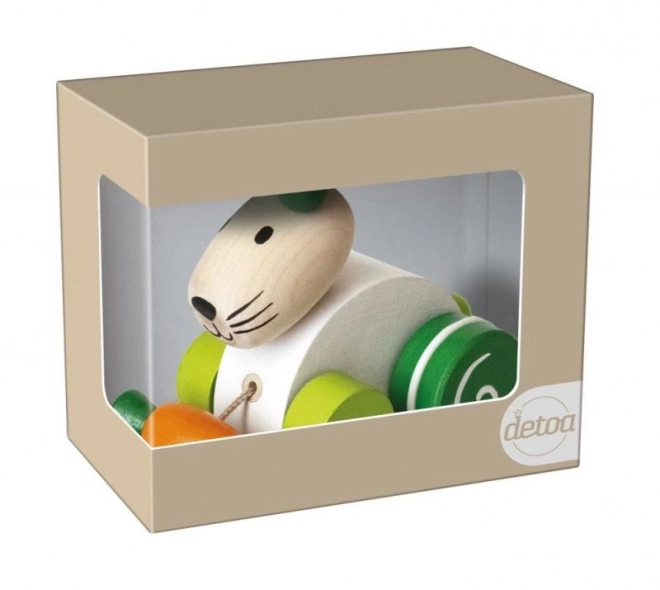 Lapin avec carotte