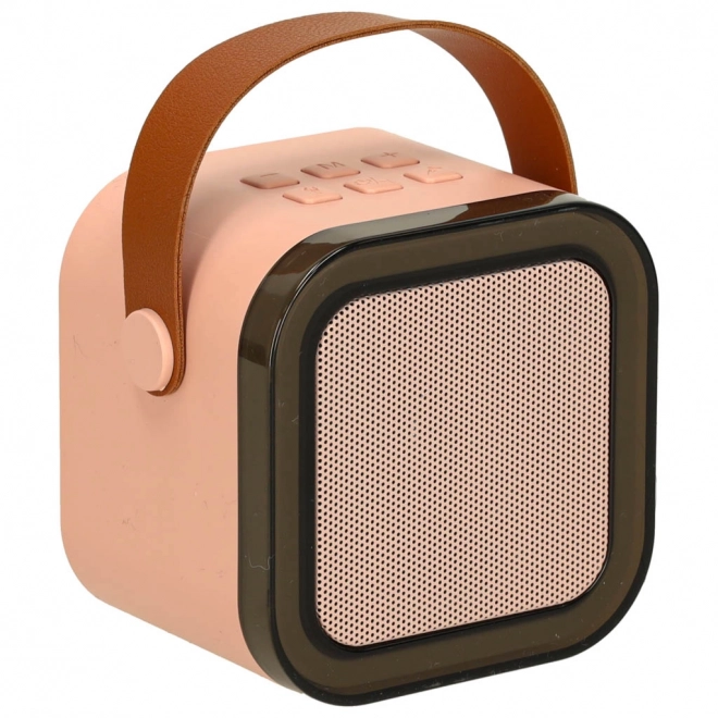 Set de karaoké microphone + haut-parleur portable BLUETOOTH USB LED rose