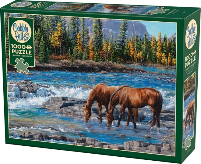 Puzzle Rivière Rocheuse de Cobble Hill - 1000 pièces