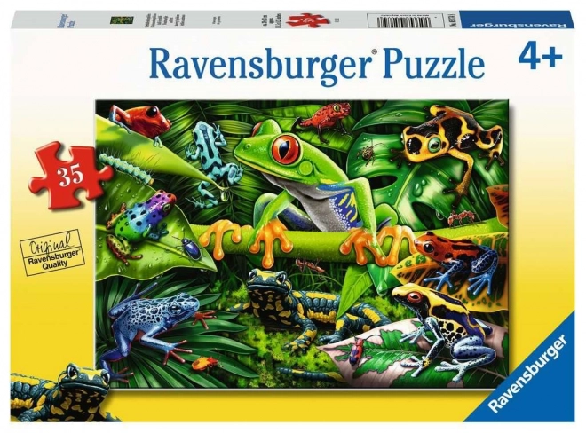 Puzzle Amphibiens Étonnants 35 pièces
