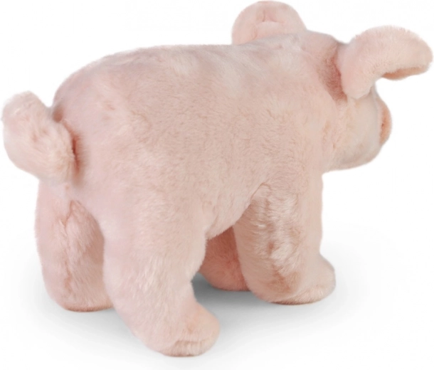 Aspect réaliste et peluche toute douce