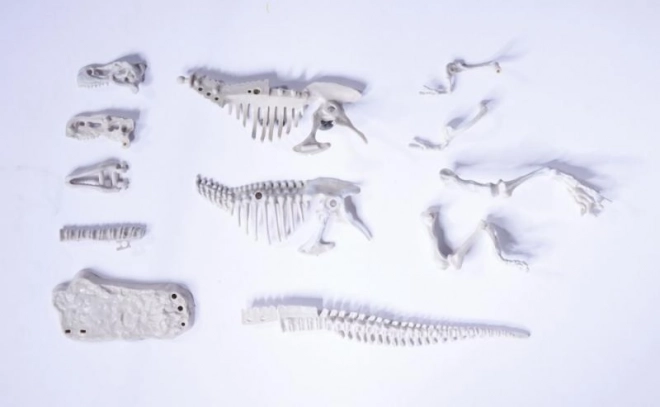 Kit pour déterrer et assembler des squelettes de dinosaures