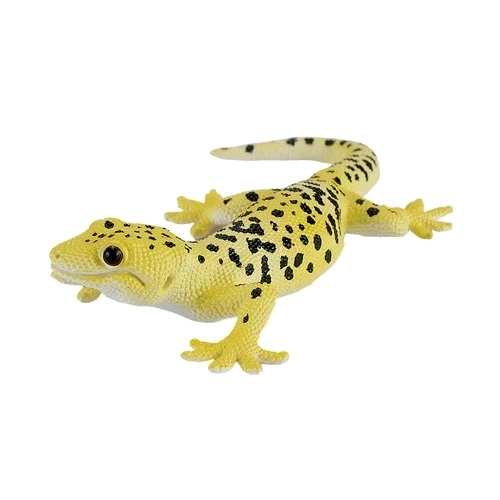 Mojo Gecko Léopard
