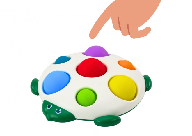 Tortue Sensorielle Jouet Éducatif Plateau Pop-It Cartes
