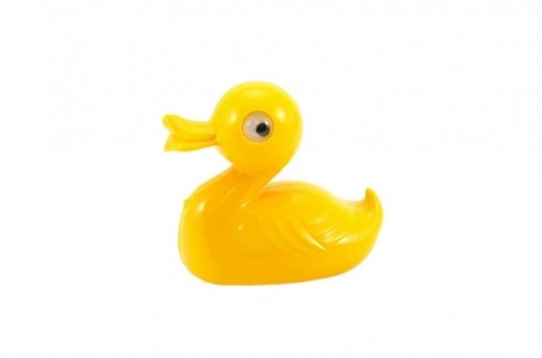 Canard pour l'eau 12 cm