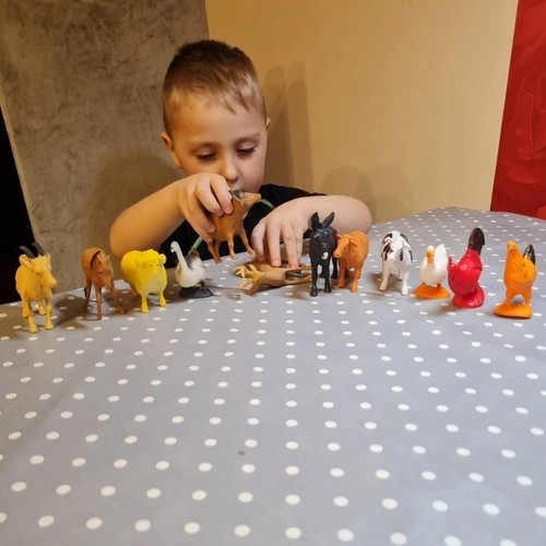 Animaux de la ferme - ensemble de 12 figurines