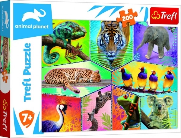 Puzzle Planète des animaux