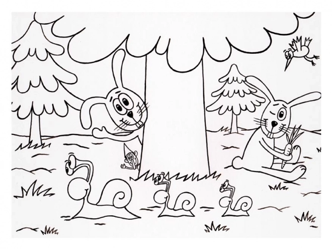 Livre de Coloriage MFP Animaux de la Forêt