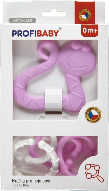 Ensemble de dentition et attaches