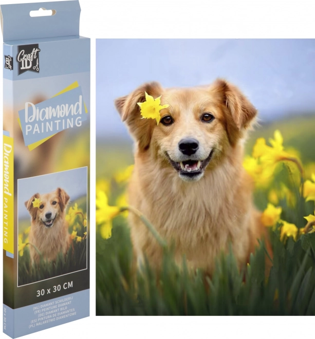 Grafix peinture diamant chien dans des narcisses 30 × 30 cm