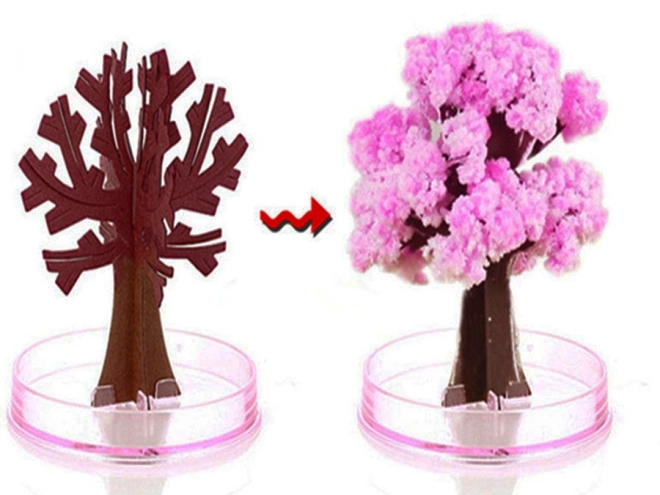 Arbre magique Sakura