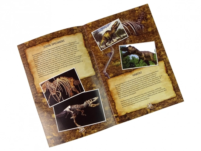Ensemble éducatif de fouilles DINOSAURUS TYRANNOSAURUS
