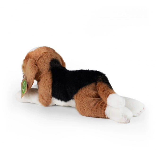 Beagle en peluche 20 cm écologique