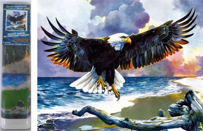 Peinture diamant Norimpex – aigle 30 × 40 cm