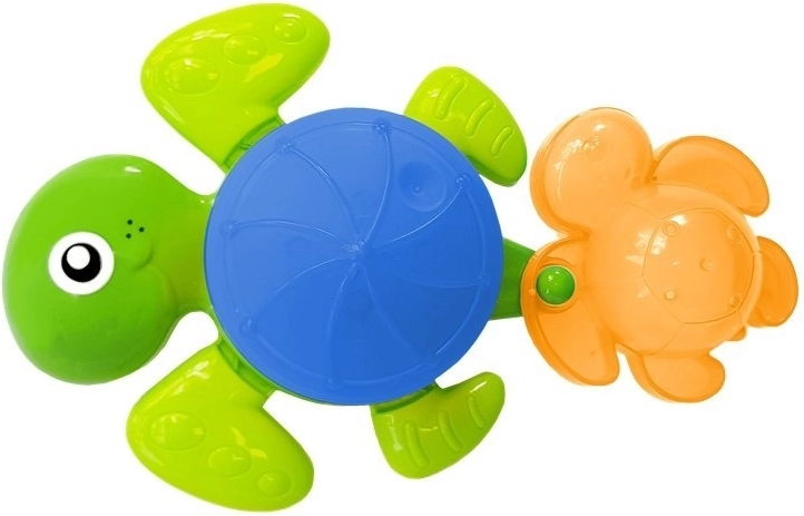 Grande tortue avec cascade