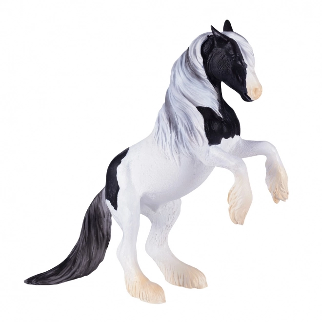 Mojo Étalon Gypsy Vanner