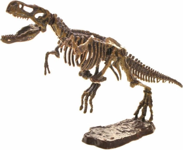 Squelette 3D de T‑Rex à assembler