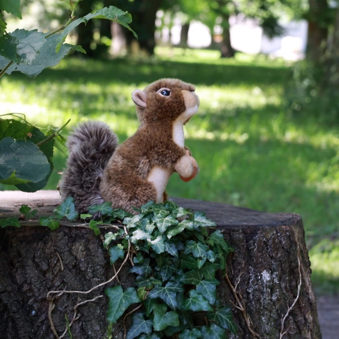 Écureuil en peluche avec noisette 20 cm ÉCOLOGIQUE