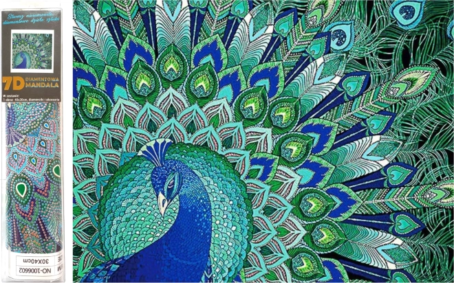 peinture diamant 7D charme de paon 30 × 30 cm