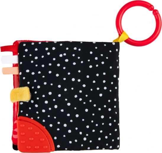 Anneau de dentition et éléments bruissants pour l’exploration sensorielle