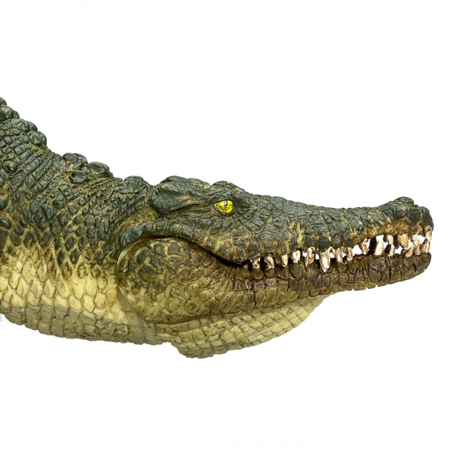 Crocodile Réaliste avec Mâchoire Articulée