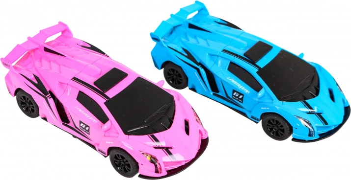 Duo de voitures de course