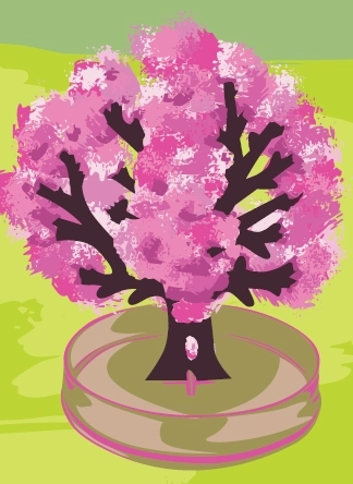 ARTO Sakura magique