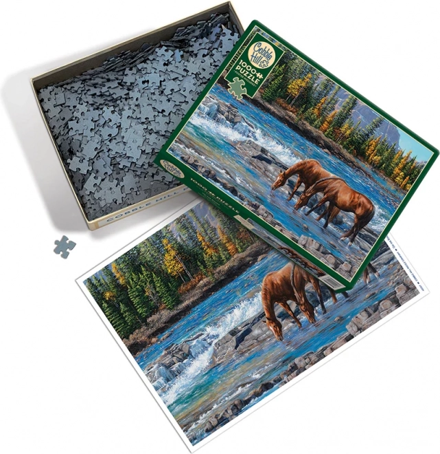 Puzzle Rivière Rocheuse de Cobble Hill - 1000 pièces