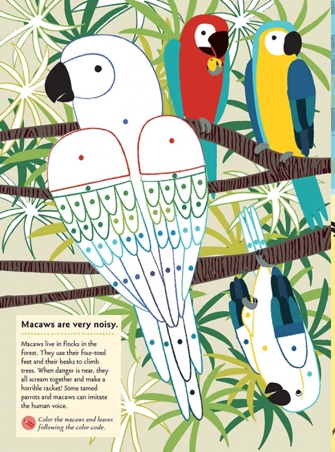 Chronicle Books Livre d'activités autocollants ma nature Oiseaux du monde