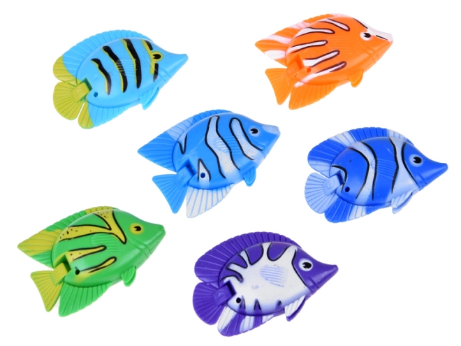 6 poissons aux couleurs vives