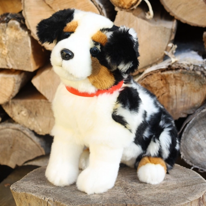 Chien en peluche Berger australien 30 cm ÉCOLOGIQUE