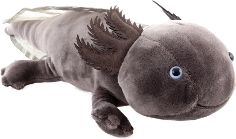 Sûr dès la naissance