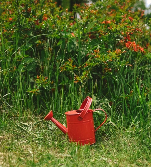 Jouet de jardin - arrosoir en métal rouge