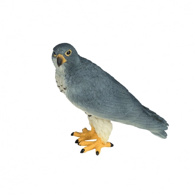 Mojo Faucon pèlerin