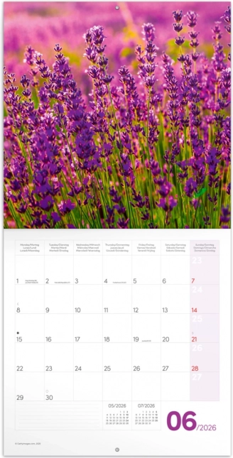 Calendrier à notes Provence 2026