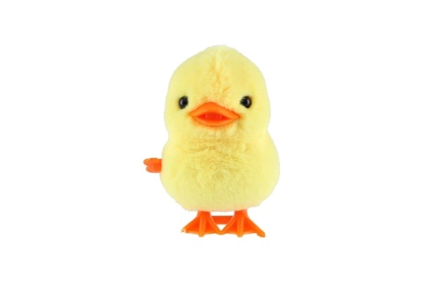 Canard sauteur à remontoir