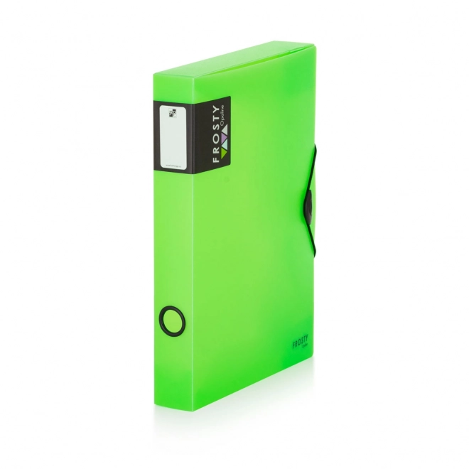 Boîte avec élastique A4 maxi Opaline Frosty verte