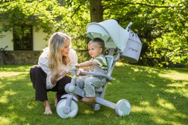 Tricycle pour enfants MoMi Solivia gris