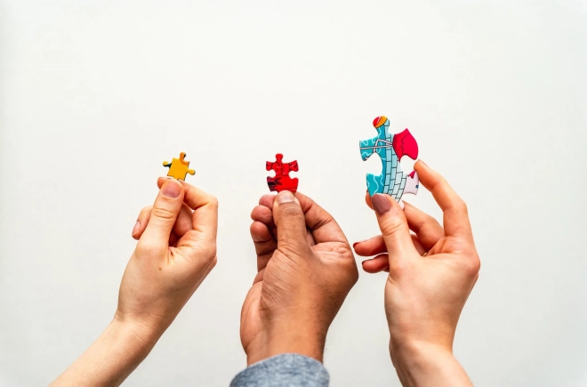 GIBSONS Puzzle Surprise au magasin 1000 pièces