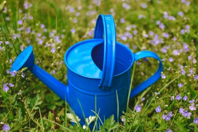 Arrosoir en métal bleu Woody